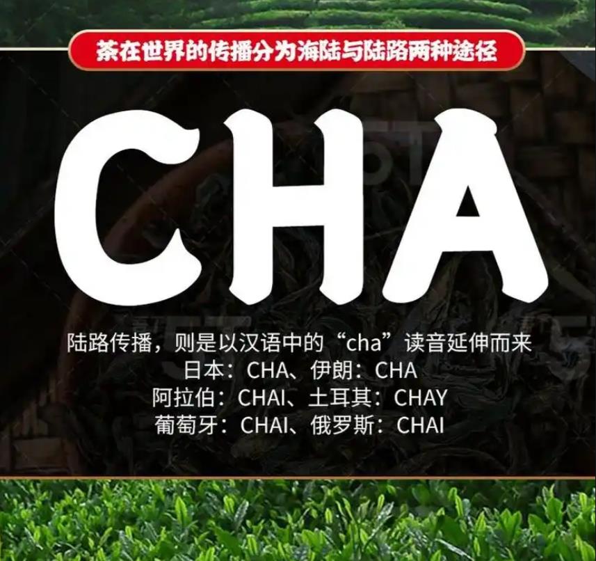 世界各国茶文化概览