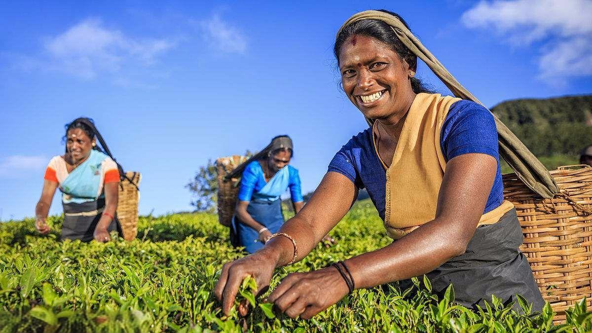 世界各国特色茶俗盘点