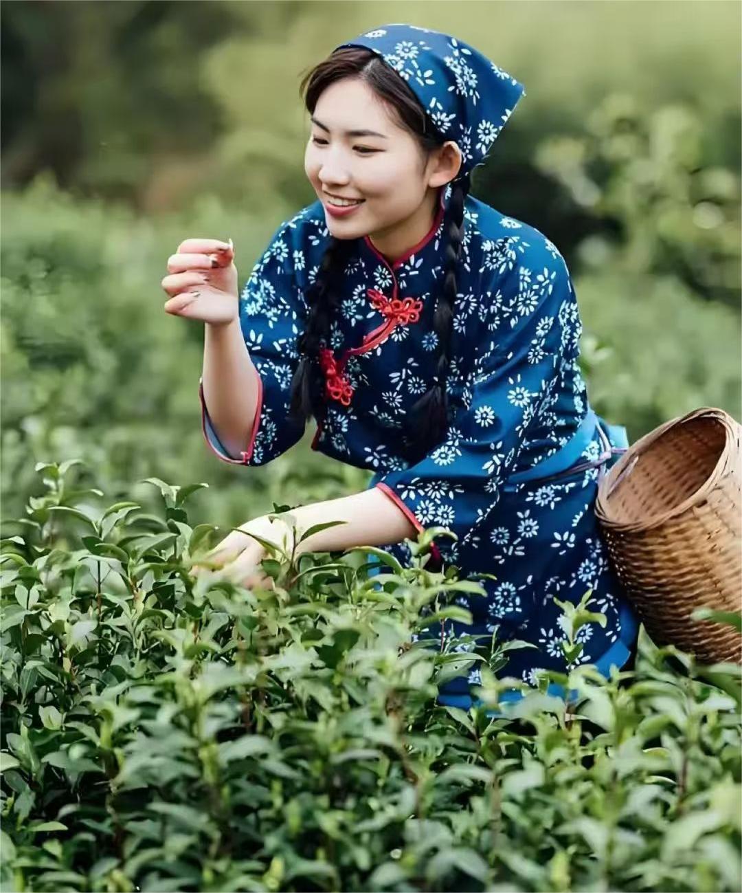 中国能吃的十大树叶