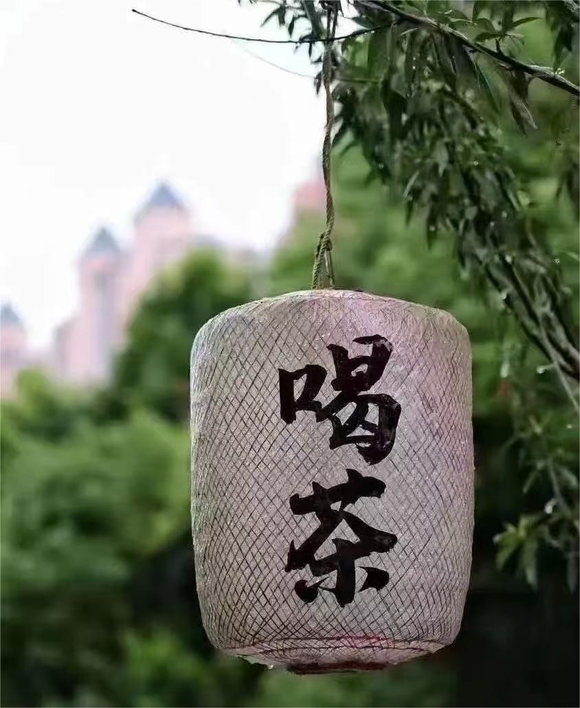 老白茶的作用与功效