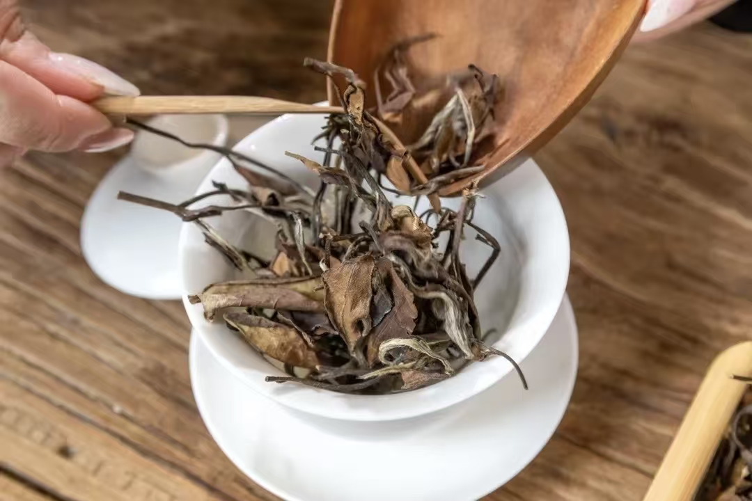 茶梗在白茶中的重要作用