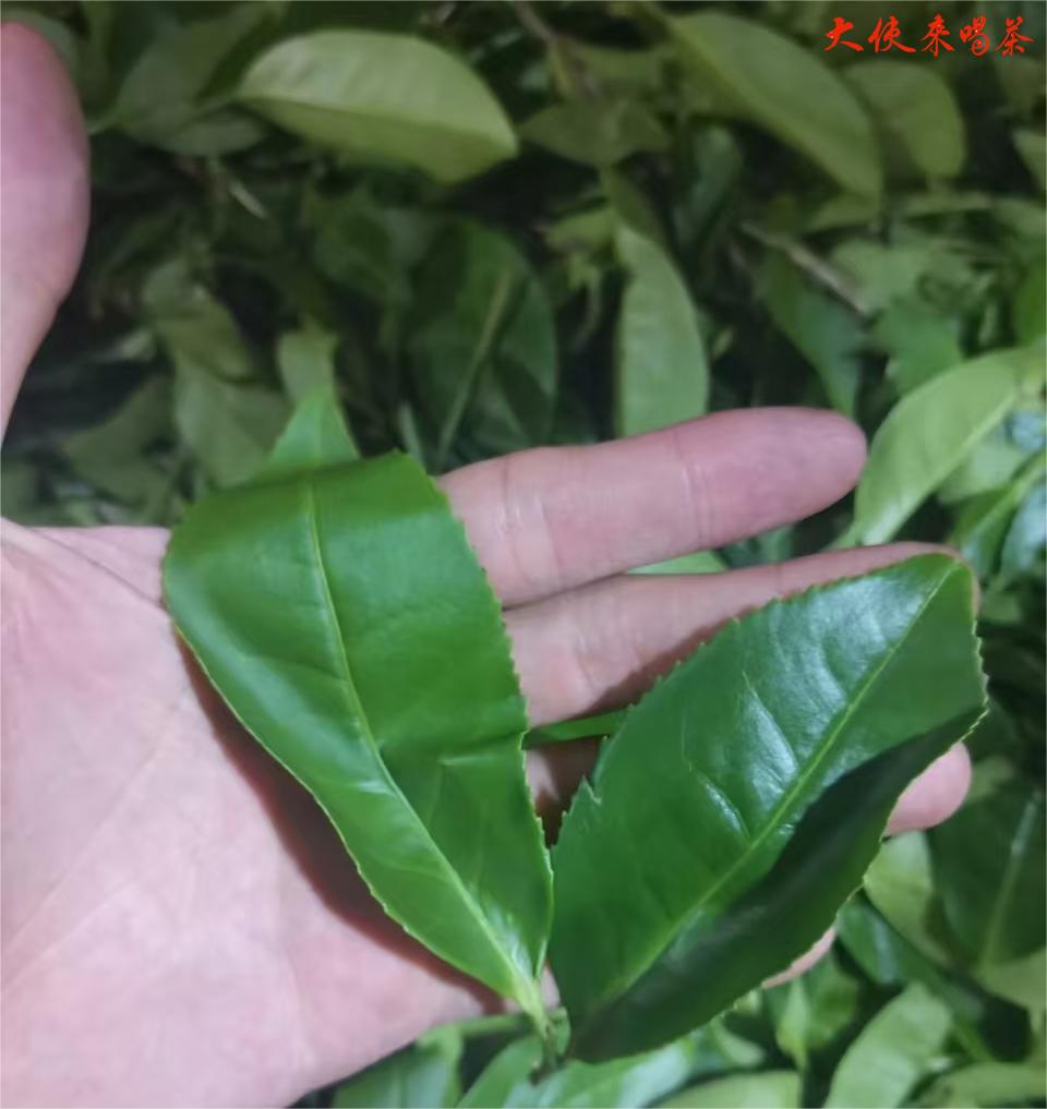 3-微信图片_202412291555291.jpg