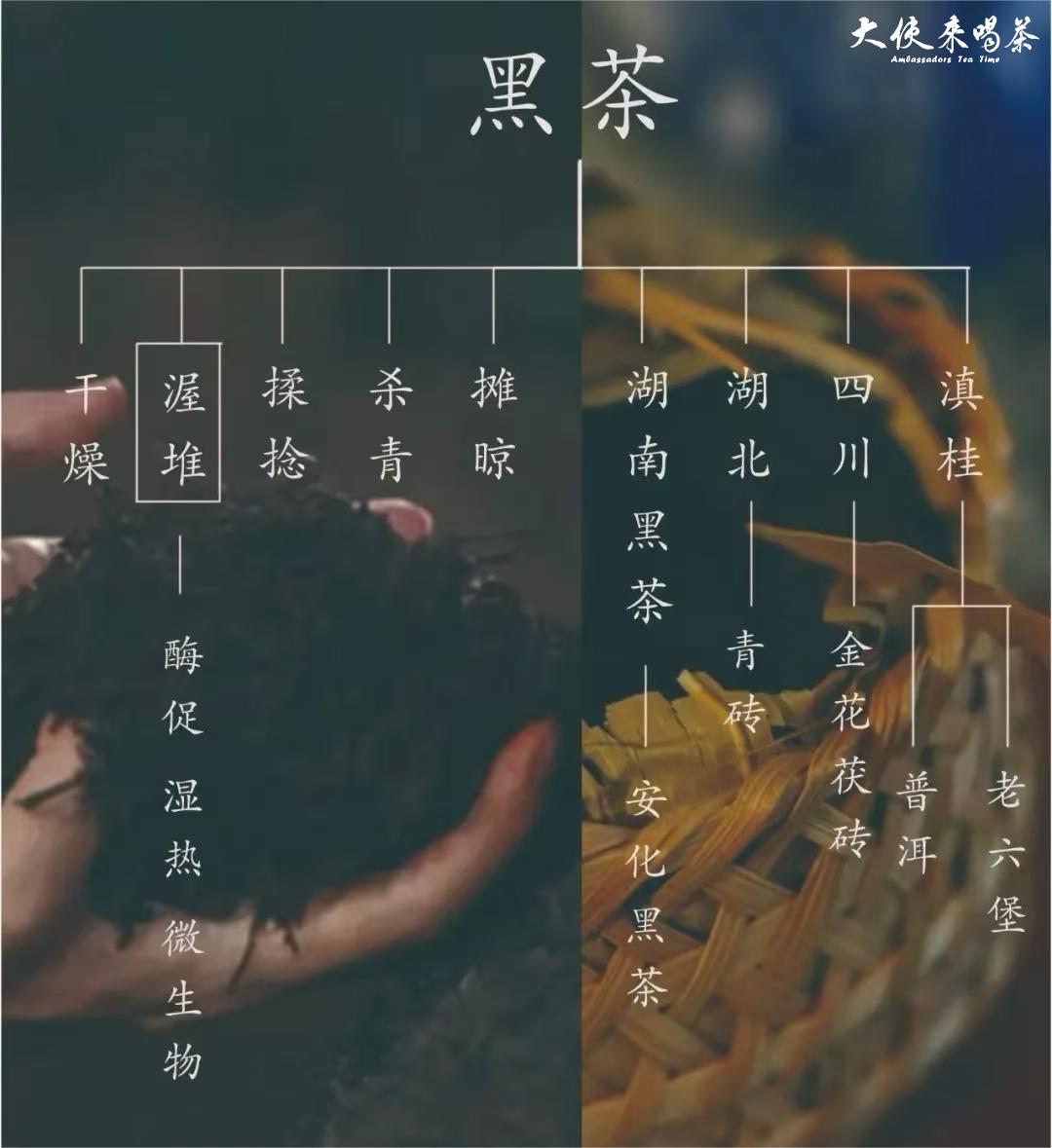 微信图片_202506061316242.jpg